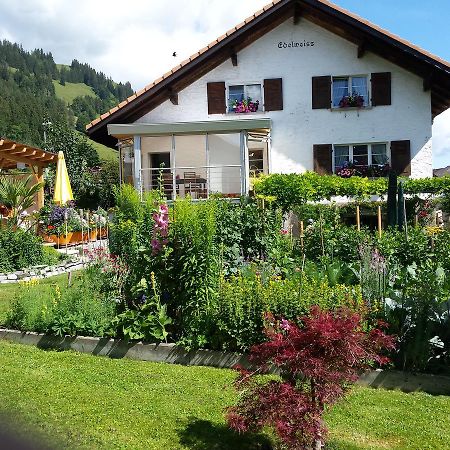 B&B Edelweiss Zweisimmen Εξωτερικό φωτογραφία