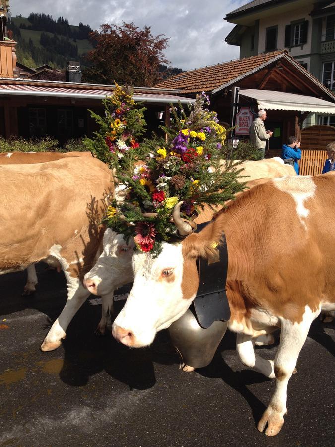 B&B Edelweiss Zweisimmen Εξωτερικό φωτογραφία